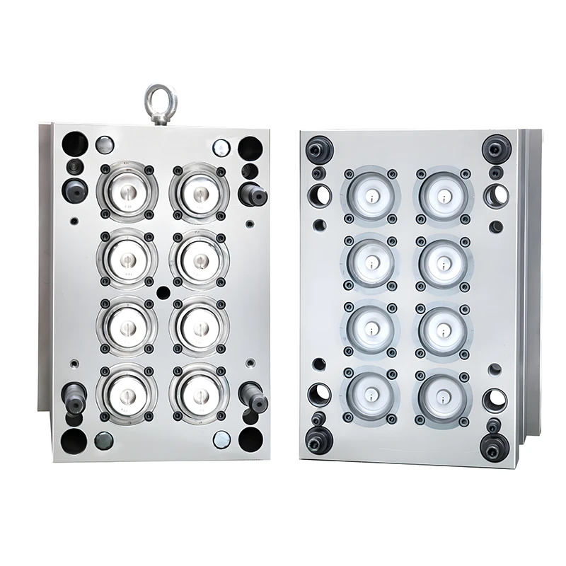 info-1-1 Water Bottle Cap Mould